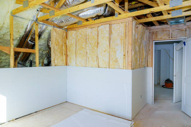 Best Geographic-Specific Insulation Services in Bismarck, ND
